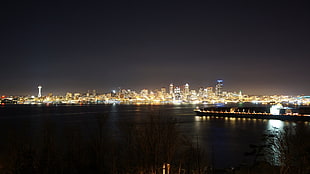 high-rise buildings, Seattle, city, night