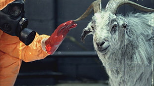 Goat Simulator, hazmat suits, goats, biohazard HD wallpaper
