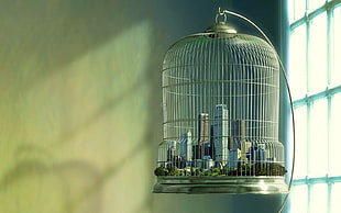 green and white bird cage, birdcage, city