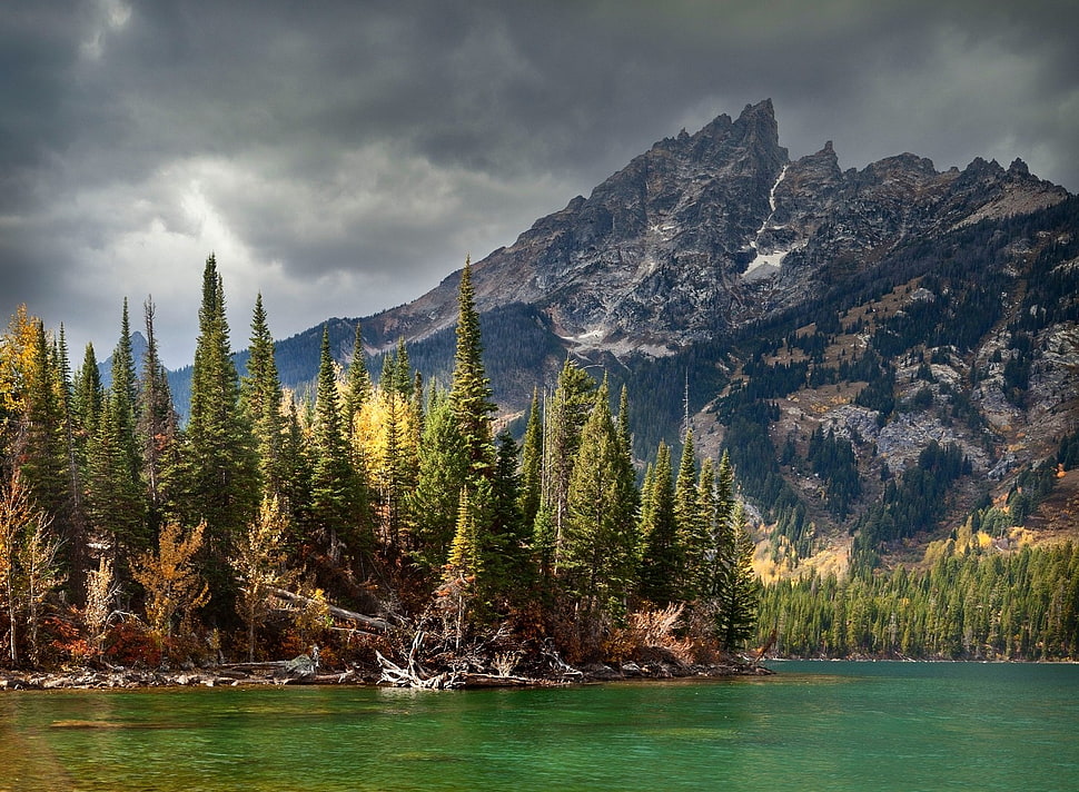 river with mountain background HD wallpaper