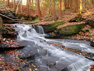 timelapse photo of waterfalls in between forest trees HD wallpaper