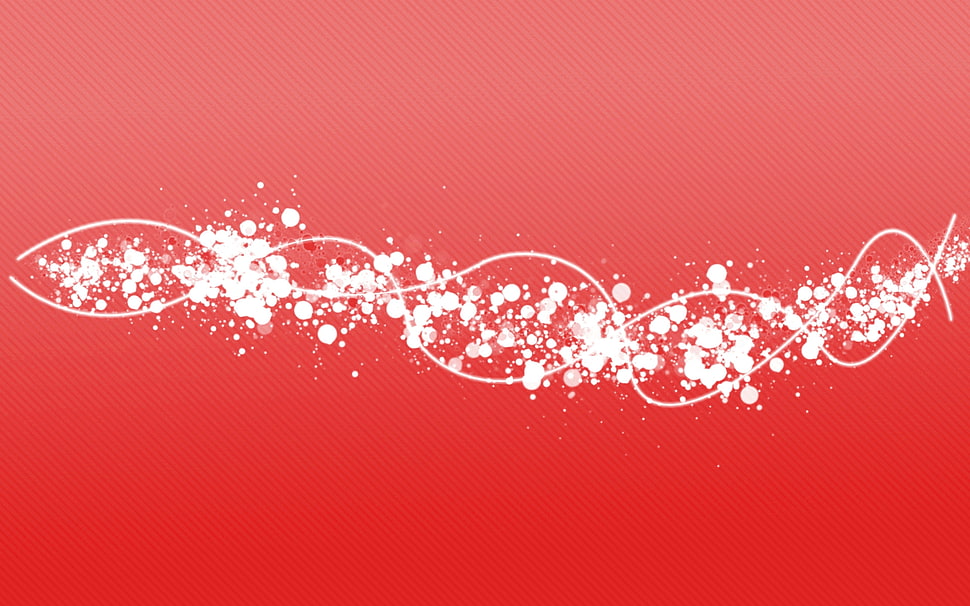Plexus,  Point,  Shine HD wallpaper