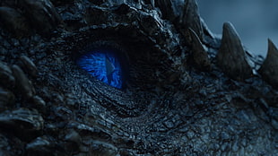 dragon face, Game of Thrones, dragon, Ice Dragon HD wallpaper