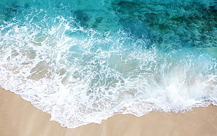 aerial photo of seashore, beach, sea