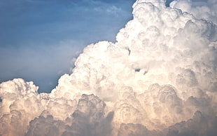white cloud, clouds HD wallpaper