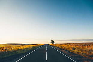 brown wooden framed glass panel, nature, road, landscape