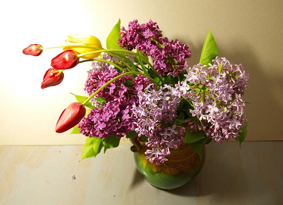 purple and pink petaled flowers HD wallpaper