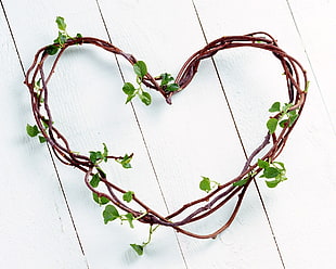 brown and green heart twig decor
