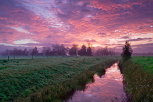 green grass field during sunset