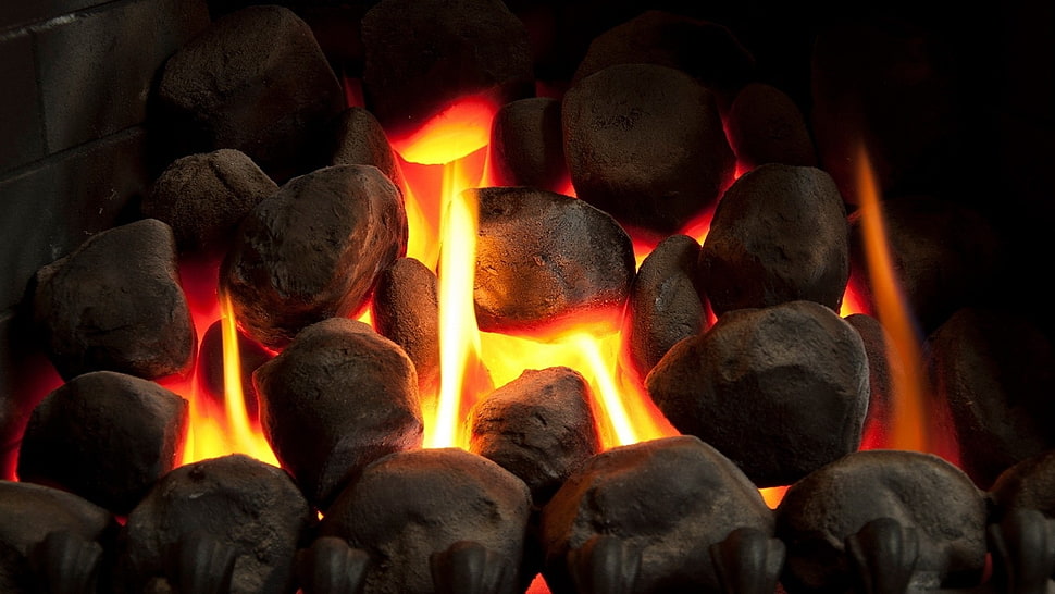 bonfire digital wallpaper, fire, stones, fireplace, bricks HD wallpaper