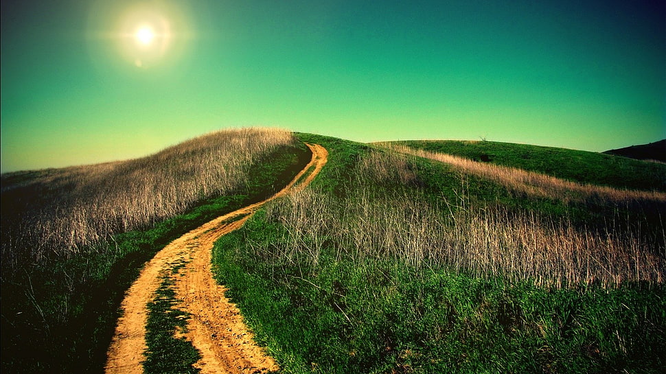 green and brown area rug, landscape HD wallpaper