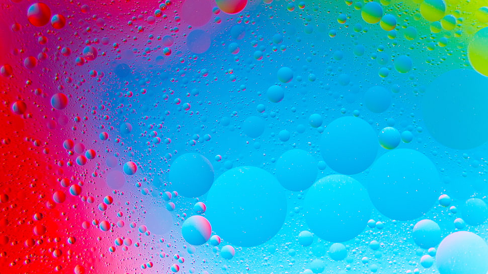 blue and red water dew illustration HD wallpaper