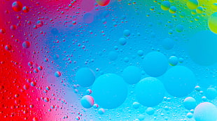 blue and red water dew illustration