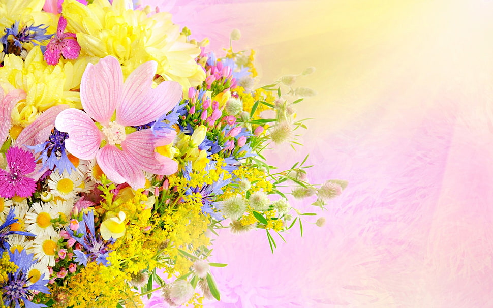 pink and yellow flowers, artwork, flowers, bouquets HD wallpaper