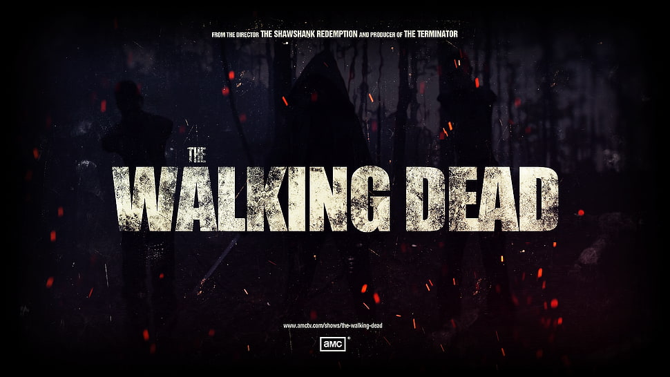 The Walking Dead wallpaper HD wallpaper