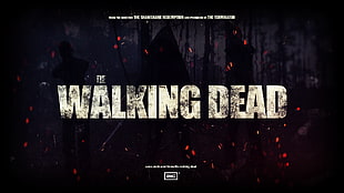 The Walking Dead wallpaper HD wallpaper