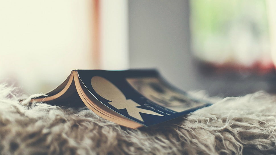 OK book, books HD wallpaper