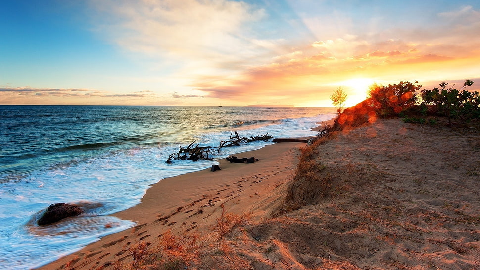brown beach sand and blue ocean with orange sunset HD wallpaper