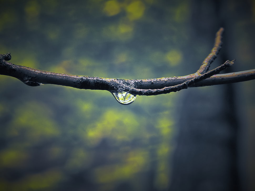 macro photography of water HD wallpaper