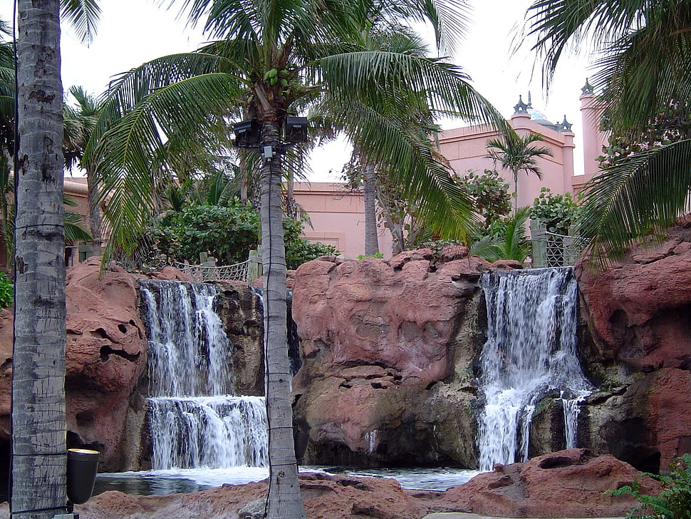 waterfalls surrounded by tree HD wallpaper