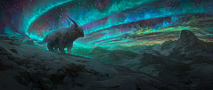 animal standing on rock field under northern lights, cold, aurora  borealis, snow, mountains