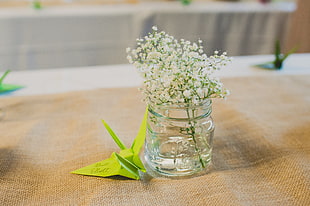 clear glass vase with flowers HD wallpaper