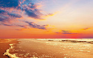 body of water and sea shore during sun set