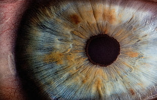 close photo of eye lens