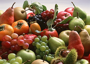 variety of fruits