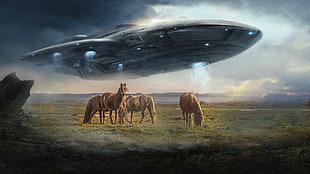 three brown horses, photo manipulation, spaceship, horse, stellaris HD wallpaper