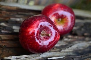 close up photo of two red apple fruits