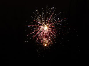 firework display illustration, Salute, Fireworks, Sky