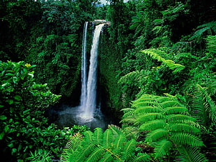waterfalls, landscape, waterfall, nature