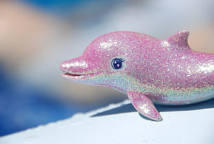 purple and gray Dolphin figurine in closeup photography