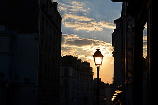 black lamp post, Paris, France, night, nature
