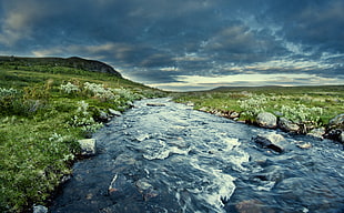 river between green grass HD wallpaper