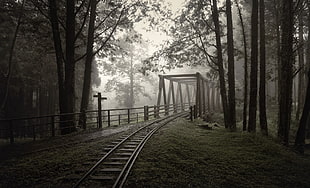 gray and black train engine rails, nature, railway, bridge, trees HD wallpaper