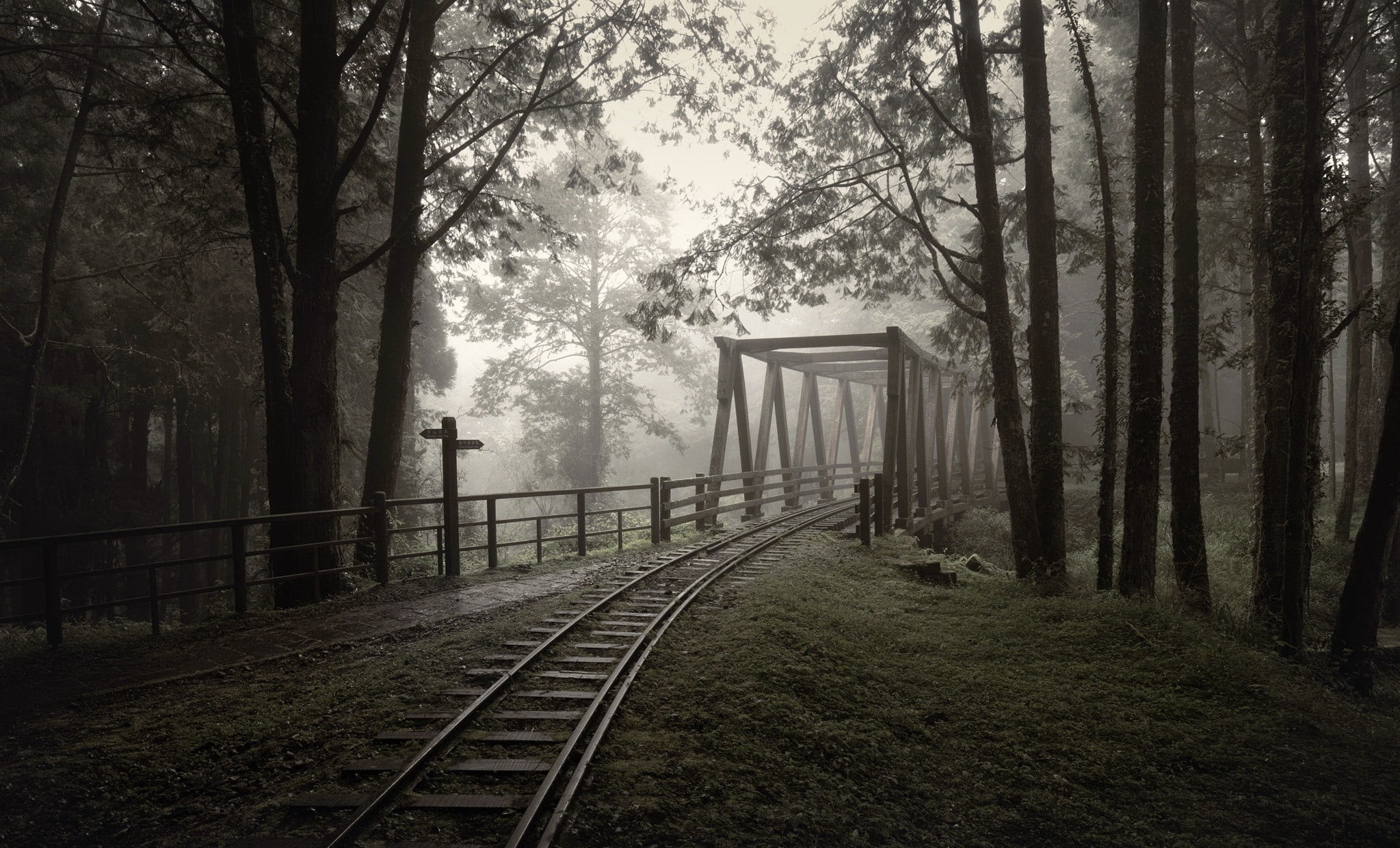 gray and black train engine rails, nature, railway, bridge, trees