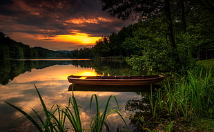 brown wooden punt boat, forest, plants, lake