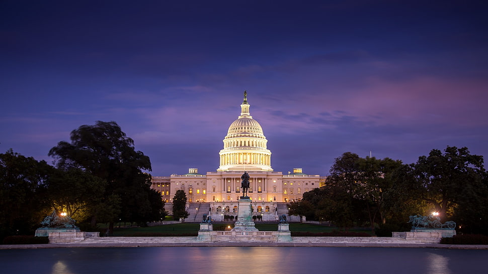 white house during night time HD wallpaper