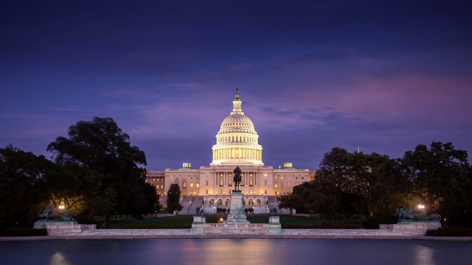 white house during night time