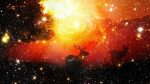 two deer silhouette digital wallpaper, digital art, trees, stars, star trails HD wallpaper