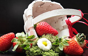strawberries and basket with plants