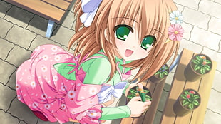 female wearing green and pink dress anime character graphic wallpaper