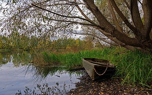 brown jon boat, boat, water, grass, trees