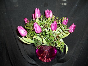 bouquet of pink tulips HD wallpaper