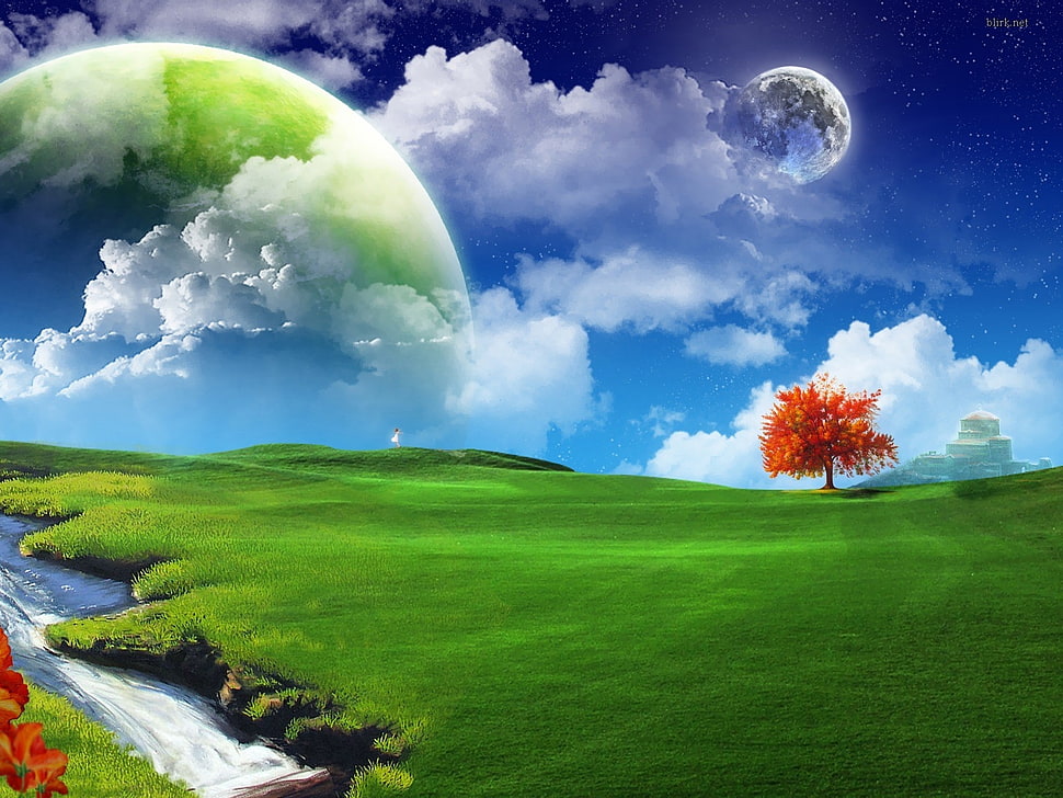 autumn tree in the grass field HD wallpaper