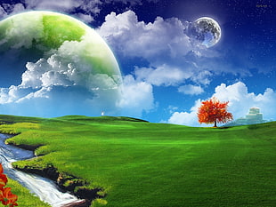 autumn tree in the grass field