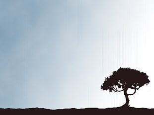 silhouette of tree, trees, landscape