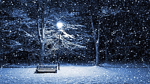 brown wooden bench and lamp post, winter, snow, lantern, cold